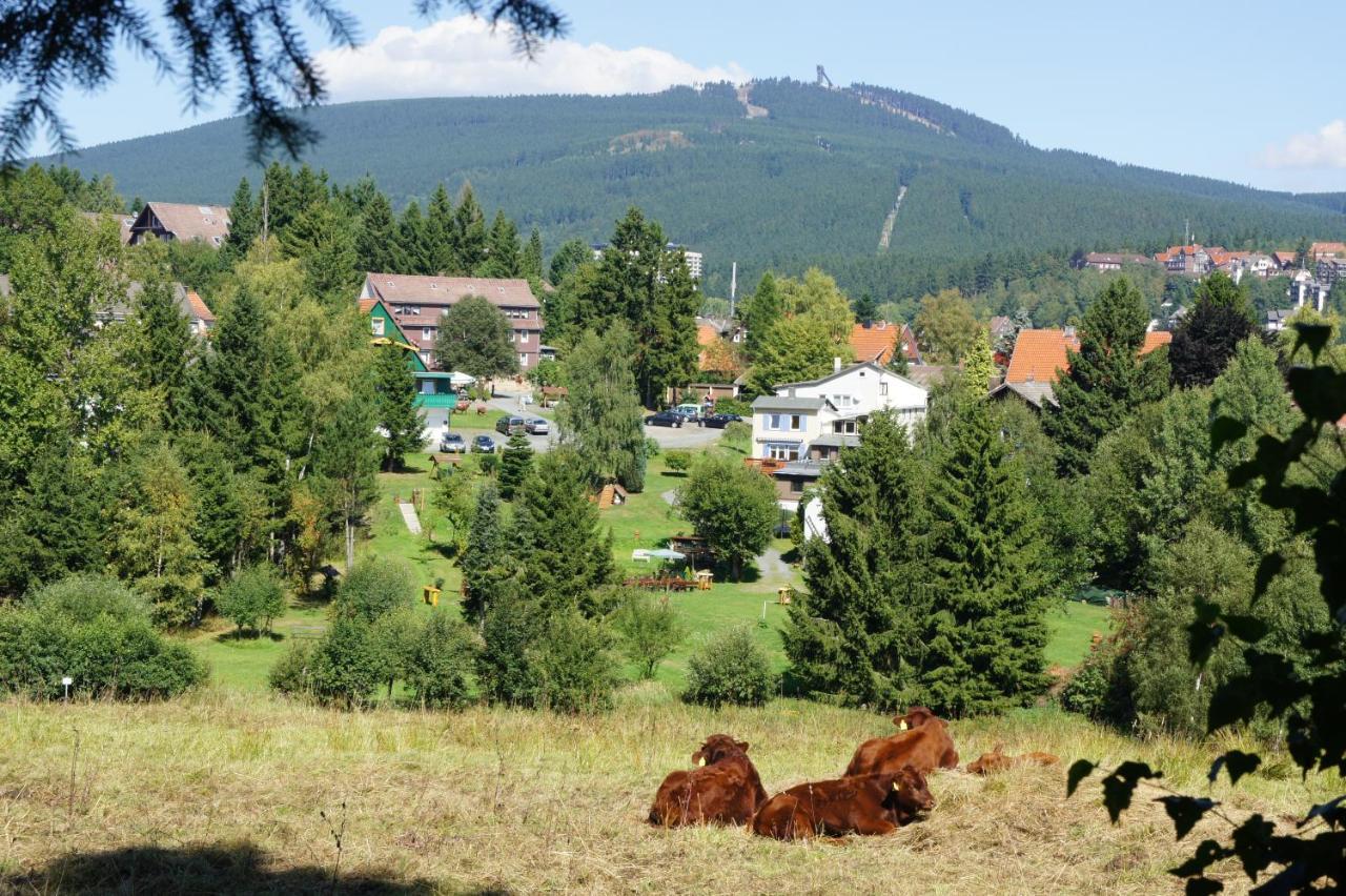 Villa Am Paulsberg Braunlage Exterior photo